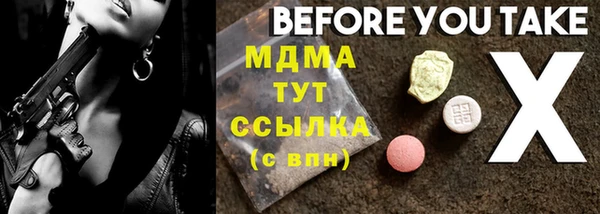индика Дмитриев