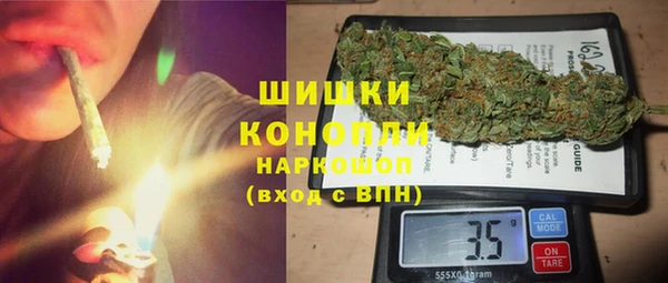 индика Дмитриев