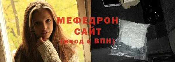 индика Дмитриев