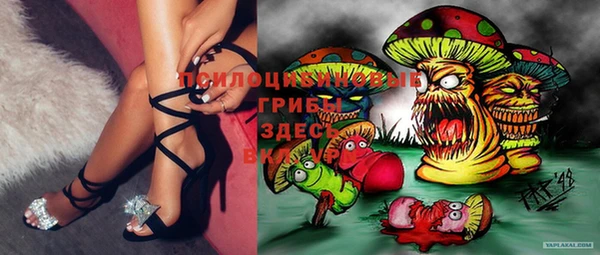 индика Дмитриев