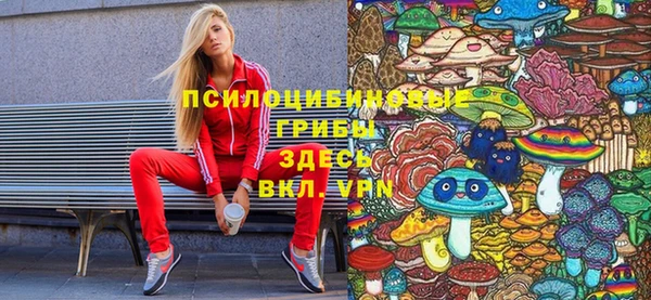 а пвп мука Гусиноозёрск