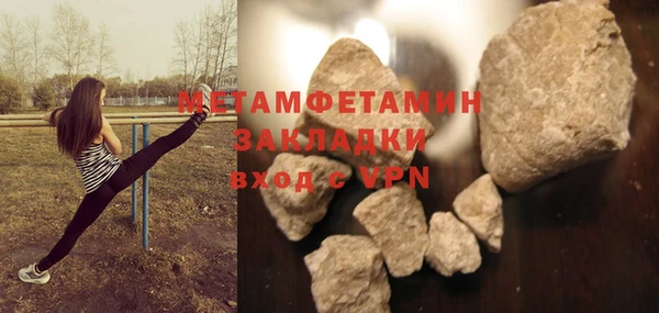 индика Дмитриев