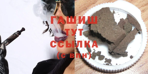 индика Дмитриев