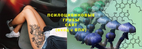 прущая мука Дмитровск